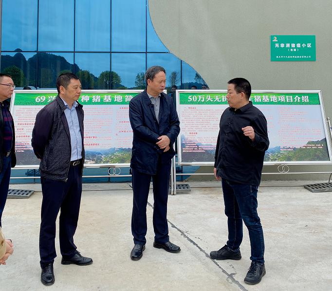 黔江区委书记徐江到重庆69兴隆湾种猪基地调研