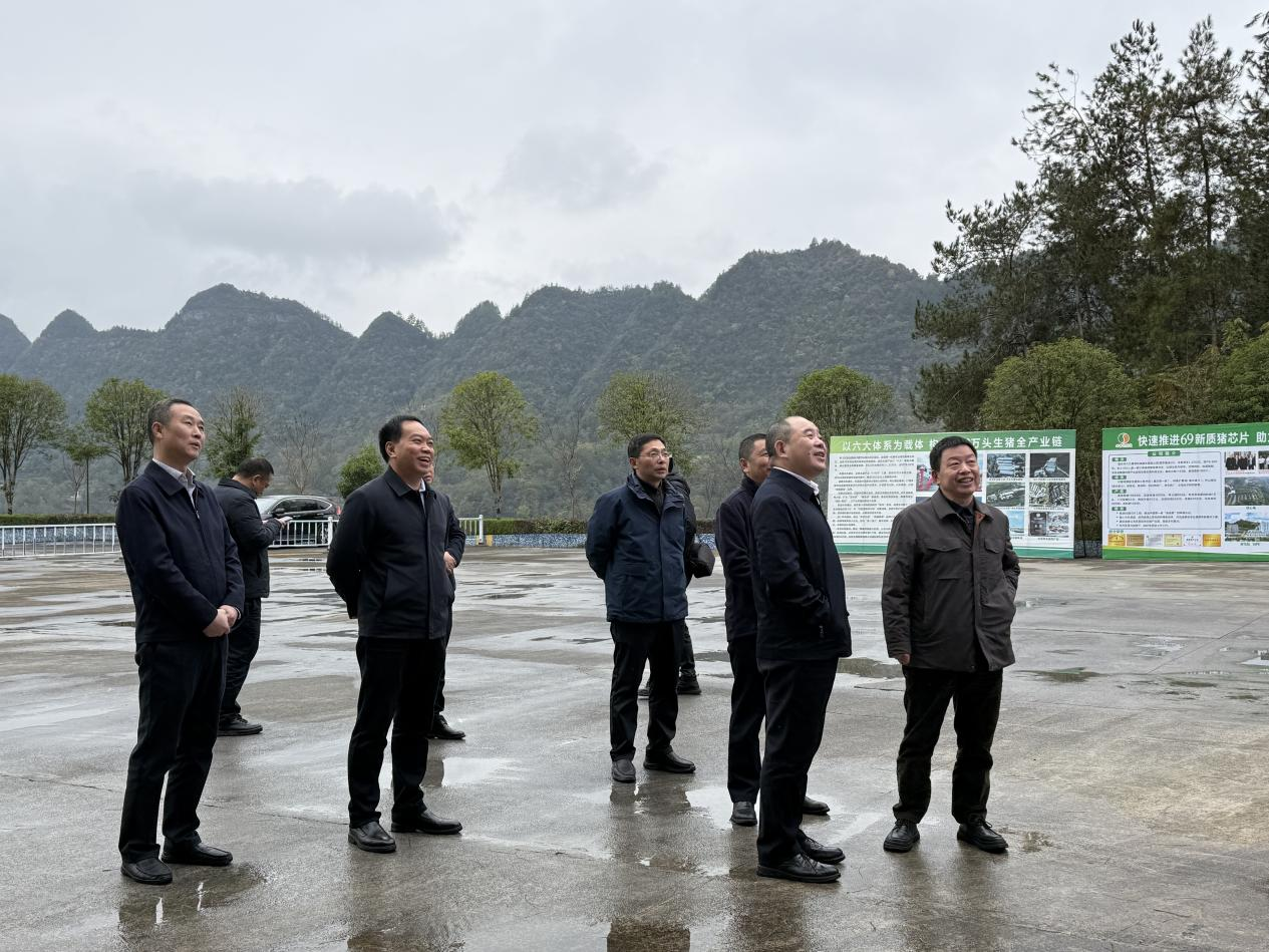 区长骆高燕到69公司调研